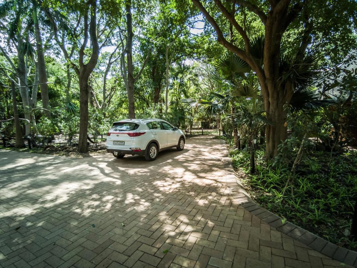 Kruger Eden Lodge مارلوث بارك المظهر الخارجي الصورة