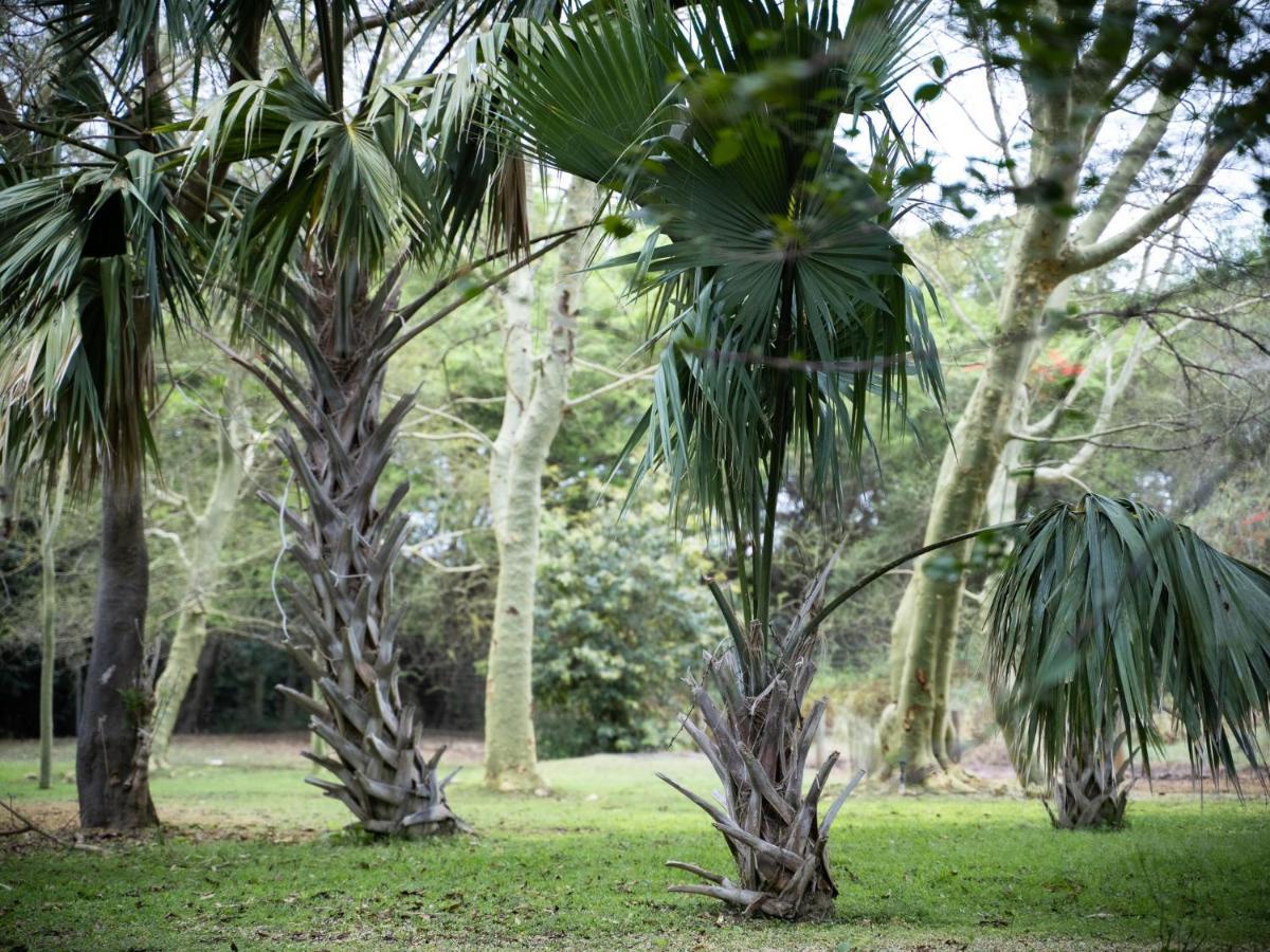 Kruger Eden Lodge مارلوث بارك المظهر الخارجي الصورة